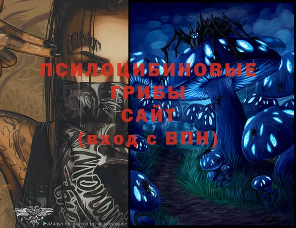 МДМА Медвежьегорск