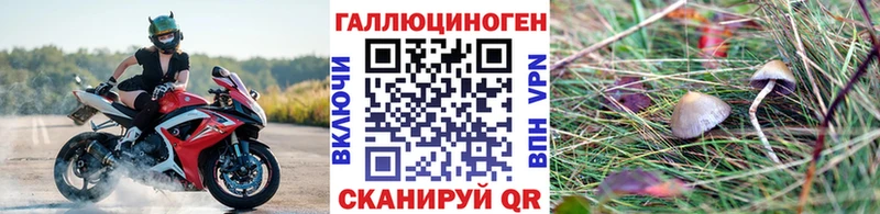 Купить закладки  Новый Уренгой  Галлюциногенные грибы GOLDEN TEACHER 